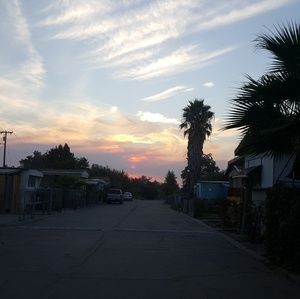 Meet your Posher, Iris